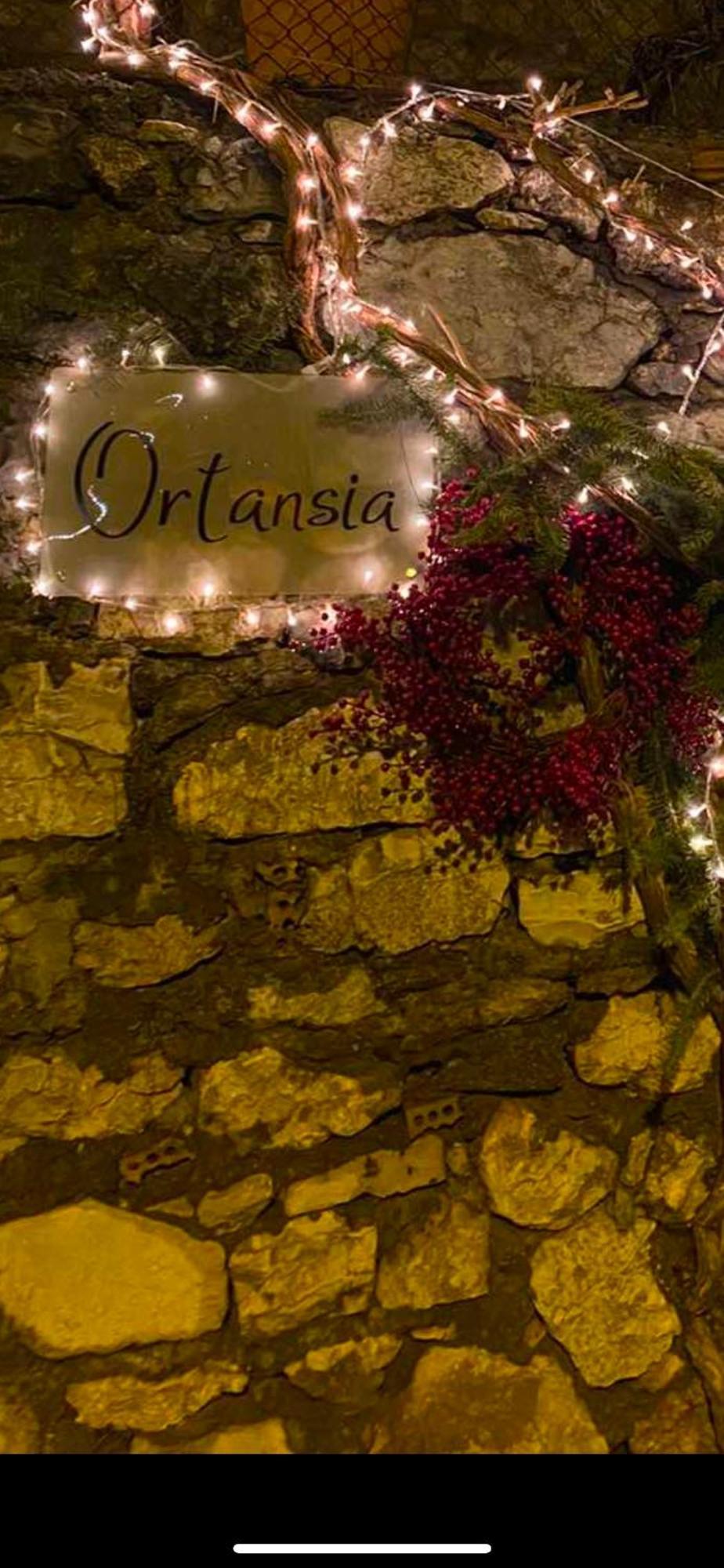 Ortansia Apartment Dimitsana Exterior photo